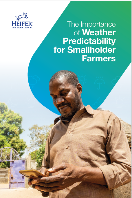 THE IMPORTANCE OF WEATHER PREDICTABILITY FOR SMALLHOLDER FARMERS - 2021