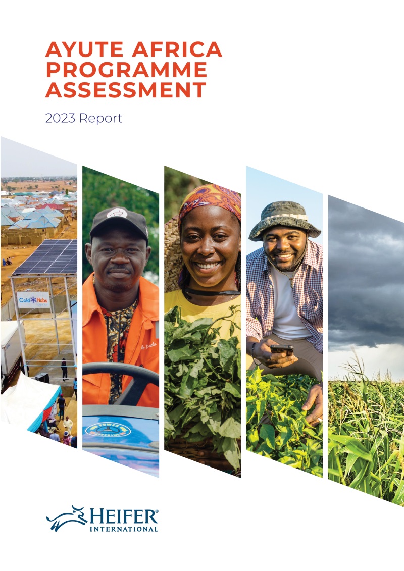 AYUTE Africa Program Assessment. - March/June 2023